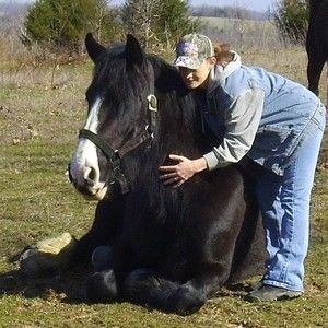 Meet your Posher, Gretchen